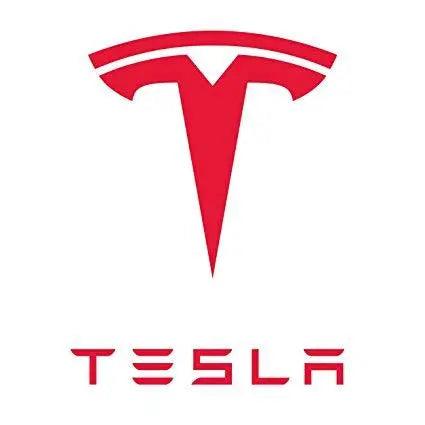 Tesla Floor Mats