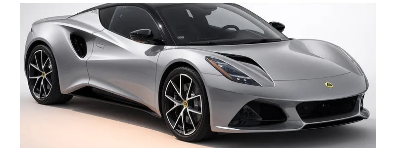 lotus floor mats