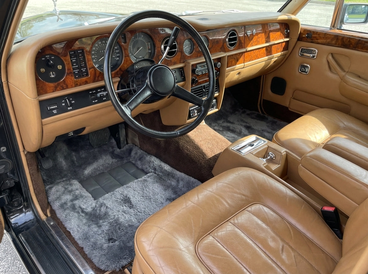 أحدث المنتجات